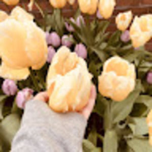 Meet your Posher, Elayne